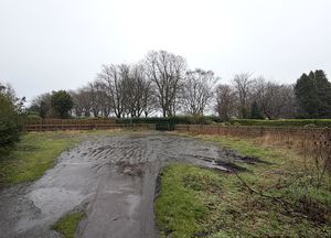 Photo 5- click for photo gallery